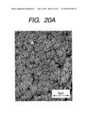 METHOD OF PRODUCING FUEL CELL CATALYST LAYER diagram and image