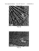 DIE FOR MICRO CONTACT PRINTING AND METHOD FOR THE PRODUCTION THEREOF diagram and image