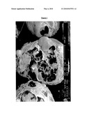 MINERAL ORE EXPANSION USING MICROWAVE ENERGY diagram and image