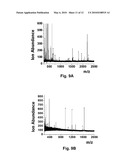 Polymeric Nanopillars and Nanotubes, Their Manufacture and Uses diagram and image