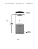 BIOELECTRICAL TREATMENT OF XENOBIOTICS diagram and image