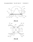 CONDUCTIVE PATHS FOR TRANSMITTING AN ELECTRICAL SIGNAL THROUGH AN ELECTRICAL CONNECTOR diagram and image