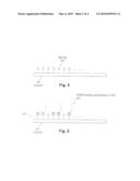 FUNCTIONALIZED CARBON NANOTUBES diagram and image