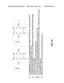 SIGNAL PROCESSOR WITH ANALOG RESIDUE diagram and image