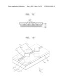 ORGANIC LIGHT EMITTING DISPLAY DEVICE diagram and image