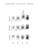 IMAGE PROCESSING DEVICE diagram and image