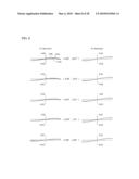 Optical element, optical system having the same and endoscope using the same diagram and image