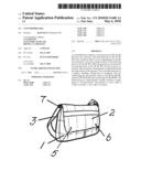 CONVERTIBLE BAG diagram and image