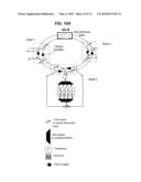 MULTIPLE INTERCONNECTED BROADCAST AND SELECT OPTICAL RING NETWORKS WITH REVERTIBLE PROTECTION SWITCH diagram and image