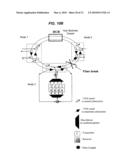 MULTIPLE INTERCONNECTED BROADCAST AND SELECT OPTICAL RING NETWORKS WITH REVERTIBLE PROTECTION SWITCH diagram and image