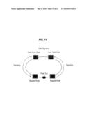 MULTIPLE INTERCONNECTED BROADCAST AND SELECT OPTICAL RING NETWORKS WITH REVERTIBLE PROTECTION SWITCH diagram and image