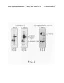 BRAIN-LOCALIZING POLYPEPTIDES COMPRISING A MULTIVALENT BINDING MOIETY AND IMPROVED METABOLIC STABILITY diagram and image