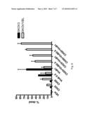 SELECTIVE INHIBITORS OF TRANSLESION DNA REPLICATION diagram and image