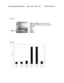 DIAGNOSIS AND TREATMENT OF CANCER BY USING ANTI-PRG-3 ANTIBODY diagram and image