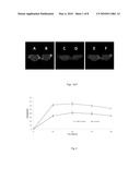 DETECTION AND QUANTIFICATION OF ABASIC SITE FORMATION IN VIVO diagram and image