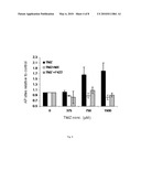 DETECTION AND QUANTIFICATION OF ABASIC SITE FORMATION IN VIVO diagram and image