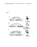 METHOD OF CANCER DETECTION AND TREATMENT diagram and image