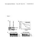 METHOD OF CANCER DETECTION AND TREATMENT diagram and image