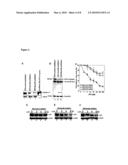 METHOD OF CANCER DETECTION AND TREATMENT diagram and image