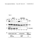 METHOD OF CANCER DETECTION AND TREATMENT diagram and image