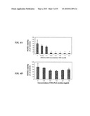 METAP-2 INHIBITOR POLYMERSOMES FOR THERAPEUTIC ADMINISTRATION diagram and image