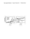 METAP-2 INHIBITOR POLYMERSOMES FOR THERAPEUTIC ADMINISTRATION diagram and image