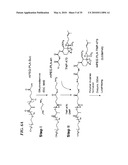 METAP-2 INHIBITOR POLYMERSOMES FOR THERAPEUTIC ADMINISTRATION diagram and image