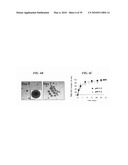 METAP-2 INHIBITOR POLYMERSOMES FOR THERAPEUTIC ADMINISTRATION diagram and image