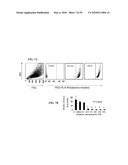 METAP-2 INHIBITOR POLYMERSOMES FOR THERAPEUTIC ADMINISTRATION diagram and image