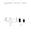 METAP-2 INHIBITOR POLYMERSOMES FOR THERAPEUTIC ADMINISTRATION diagram and image