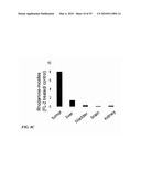 METAP-2 INHIBITOR POLYMERSOMES FOR THERAPEUTIC ADMINISTRATION diagram and image