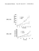 METAP-2 INHIBITOR POLYMERSOMES FOR THERAPEUTIC ADMINISTRATION diagram and image