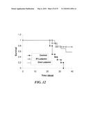 METAP-2 INHIBITOR POLYMERSOMES FOR THERAPEUTIC ADMINISTRATION diagram and image