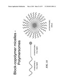 METAP-2 INHIBITOR POLYMERSOMES FOR THERAPEUTIC ADMINISTRATION diagram and image