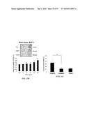 METAP-2 INHIBITOR POLYMERSOMES FOR THERAPEUTIC ADMINISTRATION diagram and image