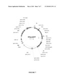 MITOCHONDRIAL NUCLEIC ACID DELIVERY SYSTEMS diagram and image