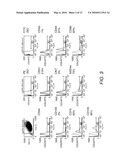 STEM CELLS FROM URINE AND METHODS FOR USING THE SAME diagram and image