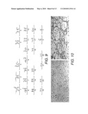 STEM CELLS FROM URINE AND METHODS FOR USING THE SAME diagram and image