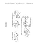 Materials and Method of Modulating the Immune Response diagram and image