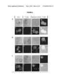 Materials and Method of Modulating the Immune Response diagram and image