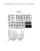 Materials and Method of Modulating the Immune Response diagram and image