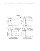 Materials and Method of Modulating the Immune Response diagram and image