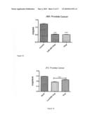 ANTIBODIES AGAINST RAMP3 diagram and image