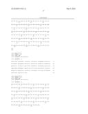 ANTIBODIES AGAINST RAMP3 diagram and image