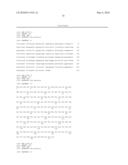 ANTIBODIES AGAINST RAMP3 diagram and image