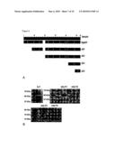 METHODS AND COMPOSITIONS FOR THE TREATMENT OF PROLIFERATIVE DISEASES diagram and image