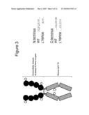 TREATMENT OF AUTOIMMUNE DISORDERS diagram and image