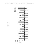 Notch-Binding Agents and Antagonists and Methods of Use Thereof diagram and image