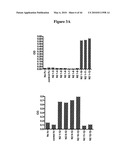 Notch-Binding Agents and Antagonists and Methods of Use Thereof diagram and image
