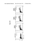 Notch-Binding Agents and Antagonists and Methods of Use Thereof diagram and image